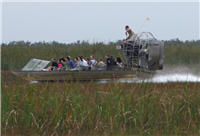 Airboat Everglades Miami