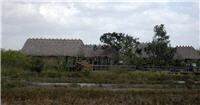 Miccosukee Indian Village in der Nähe von Miami. Bild: Milan Boers